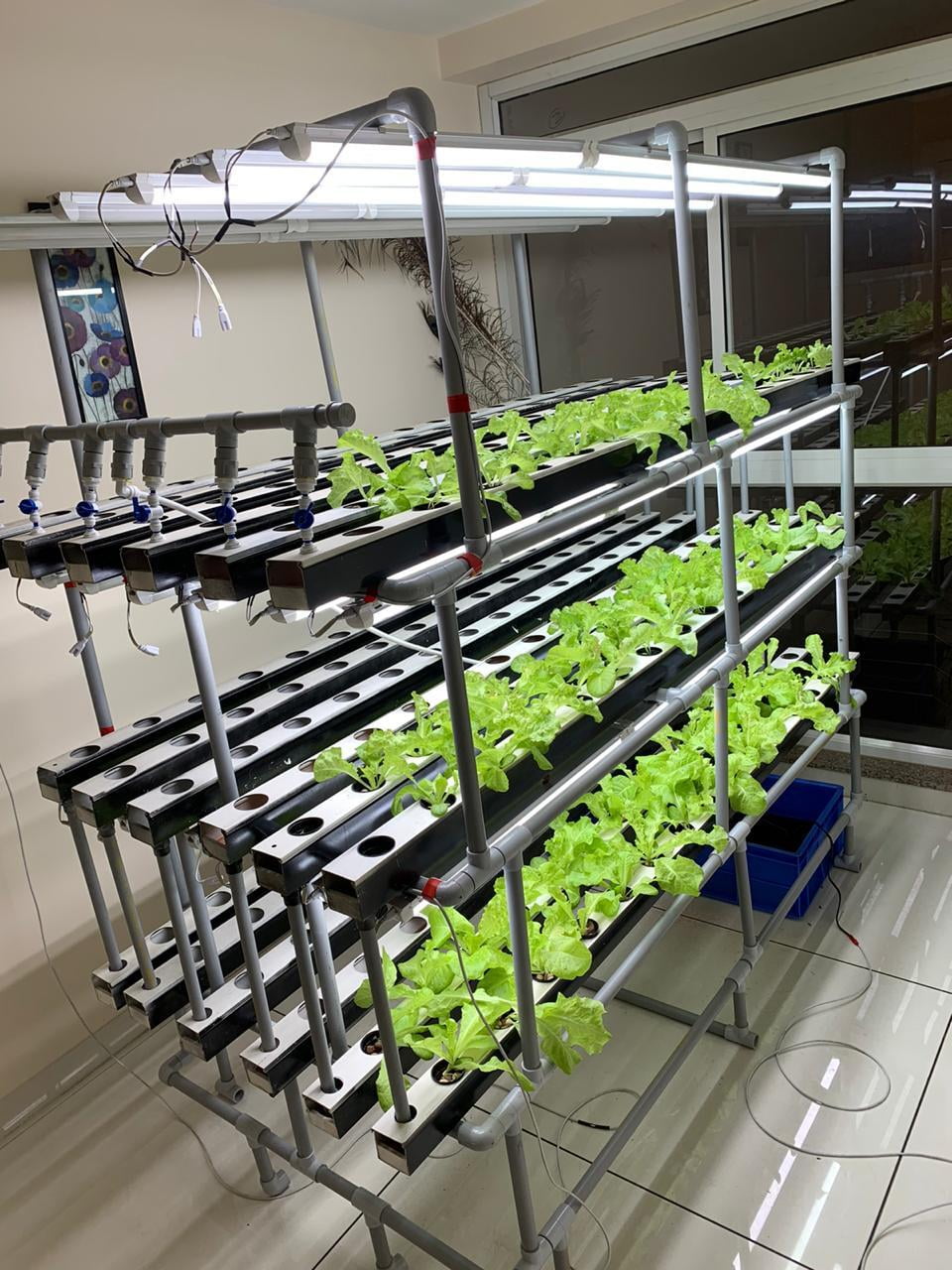 Important parameters to consider while setting up a Commercial hydroponic system.
